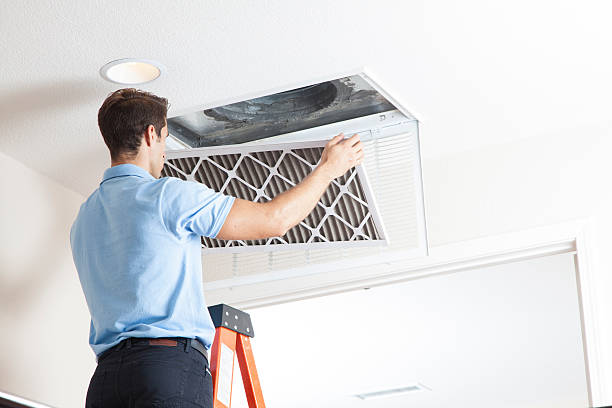 Best HVAC air duct cleaning  in Hoschton, GA